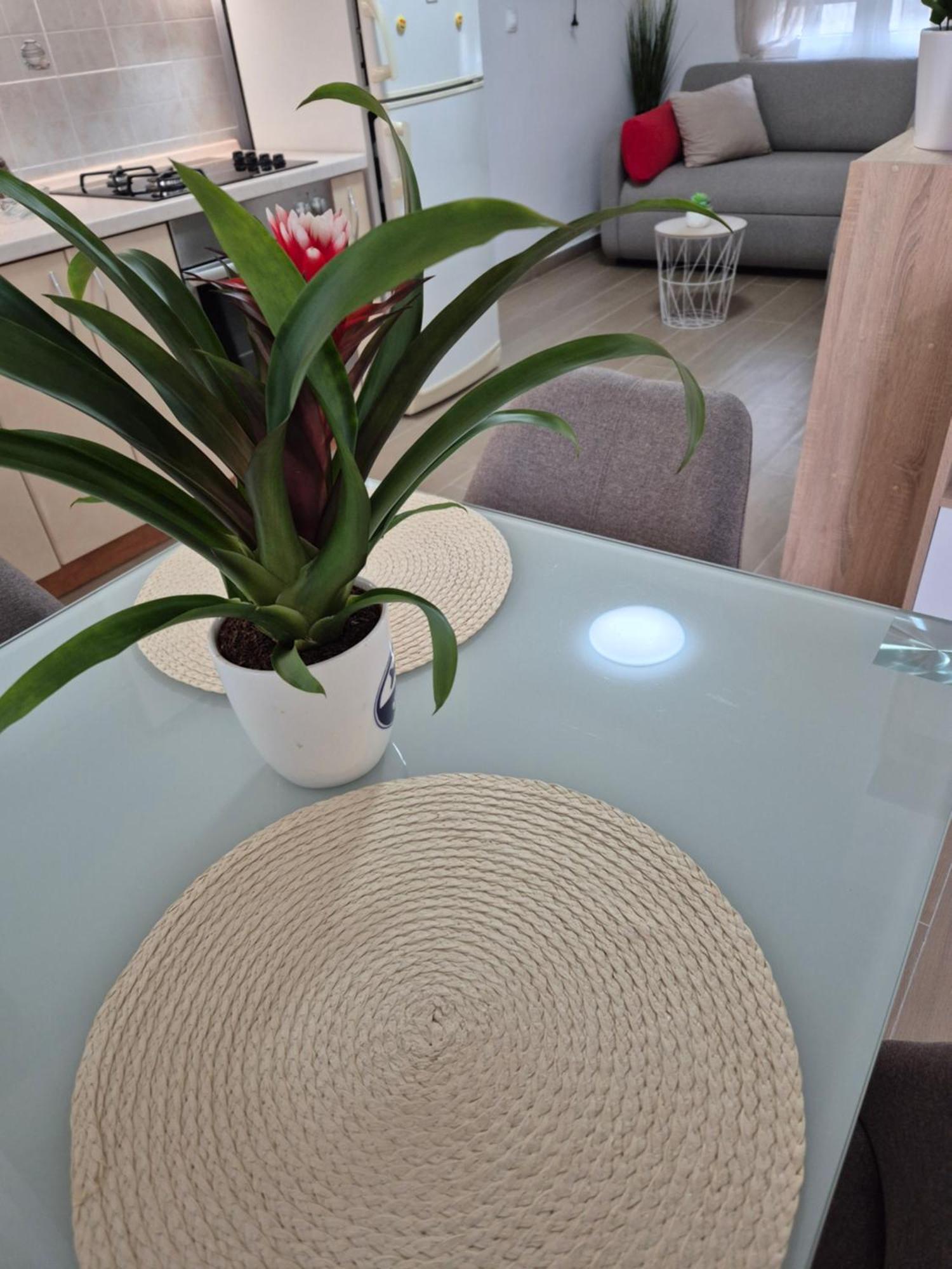Apartment Duje Split Chambre photo